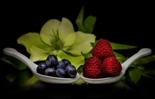 Flower, macro, berries, raspberry, blueberries, black background, spoon