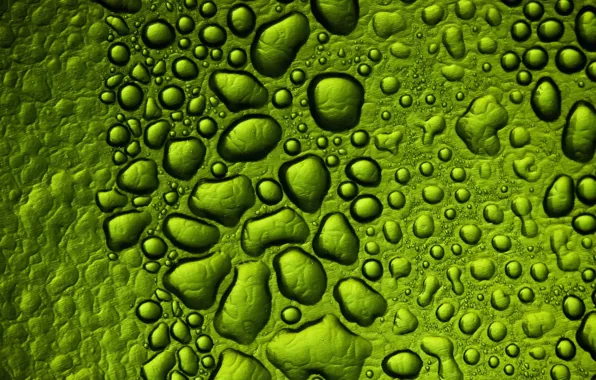 Drops, macro, green, texture