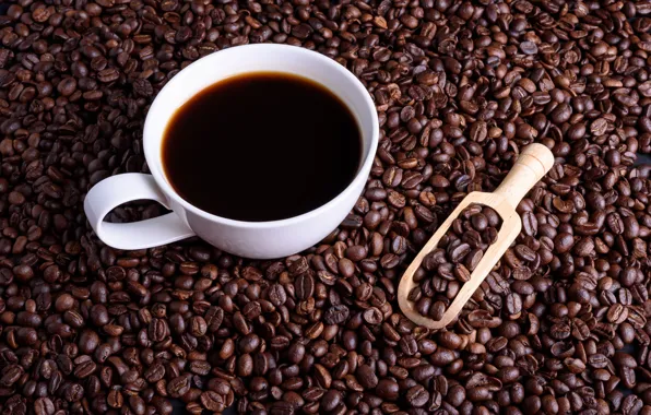 Coffee, drink, coffee beans, blade