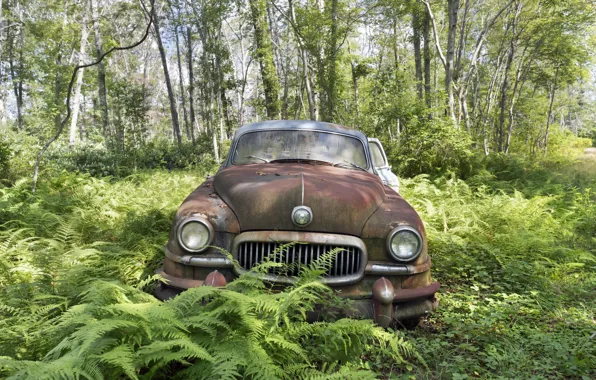Machine, nature, scrap