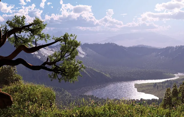 Picture the sky, grass, mountains, river, tree