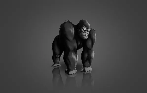 The dark background, animal, monkey, gorilla, monkey, gorilla