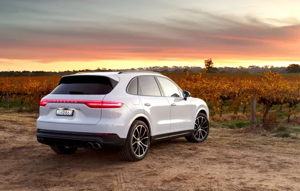 Sunset, Porsche, rear view, 2018, crossover, Cayenne S