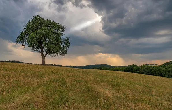 Clouds, nature, tree, hills, Germany, Rhineland-Palatinate