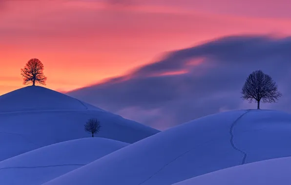 Winter, snow, trees, sunset, traces, hills, Switzerland