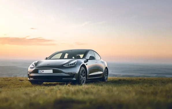 The sky, grass, sunset, horizon, Model, Tesla, Tesla Model 3, Tesla Model