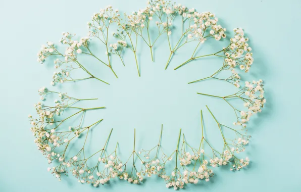Picture flowers, background, white, white, flowers, spring, frame, floral