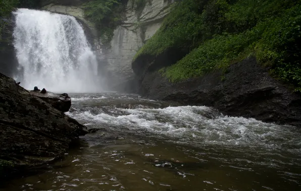 Water, rock, vegetation, waterfall