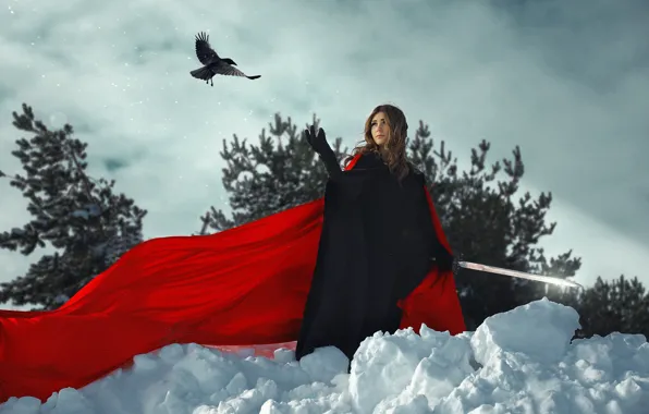 Picture girl, bird, sword