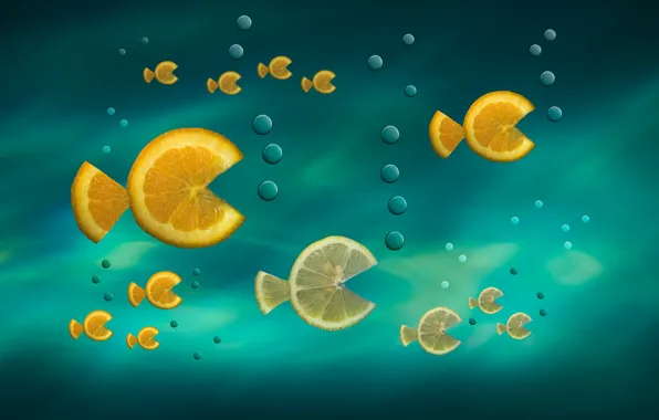 Fish, citrus, slices, Fish in the Sea