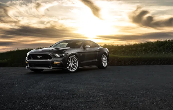 Mustang, Ford, Muscle, Car, Front, Sunset, Wheels, Before