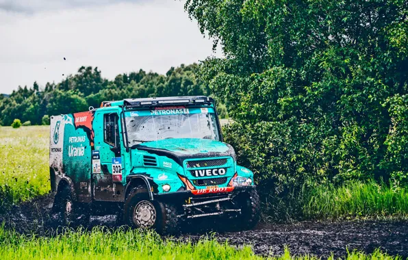 Nature, Grass, Sport, Summer, Speed, Race, Dirt, Trucks