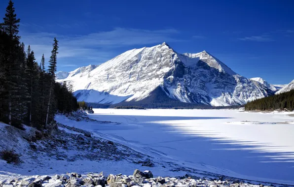 Ice, winter, the sky, snow, trees, mountains, lake, spruce