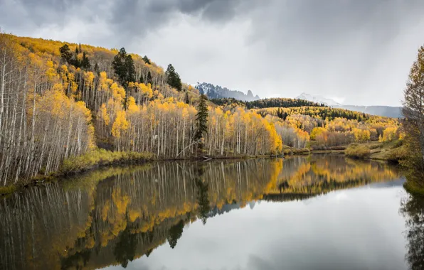 Picture autumn, forest, river