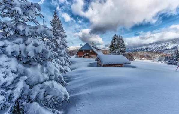Winter, snow, trees, mountains, house, France, ate, Alps