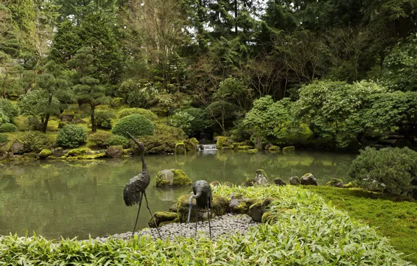Picture greens, trees, pond, stones, moss, garden, USA, the bushes
