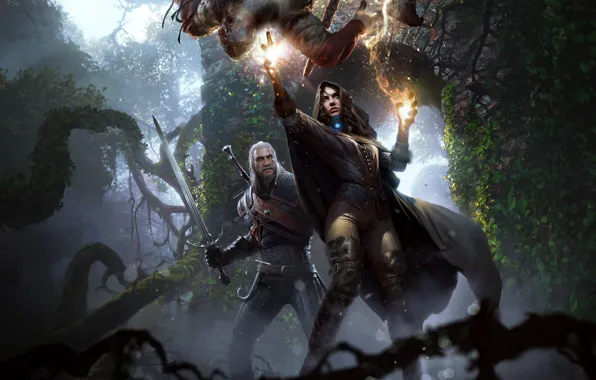 Picture the Witcher, the enchantress, Geralt, CD Projekt RED, The Witcher 3: Wild Hunt, The Witcher …
