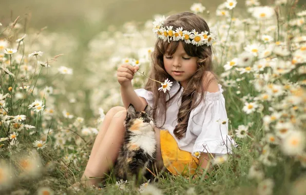 Picture flowers, each, chamomile, meadow, girl, kitty, wreath, curls