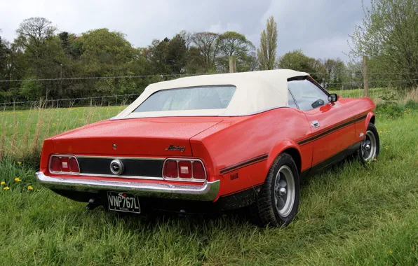 Mustang, Ford, Ford, Mustang, classic, Muscle car, 1973