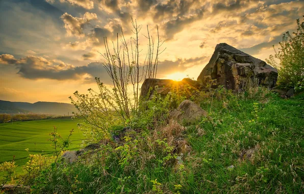 Stones, dawn, morning, hill, meadow