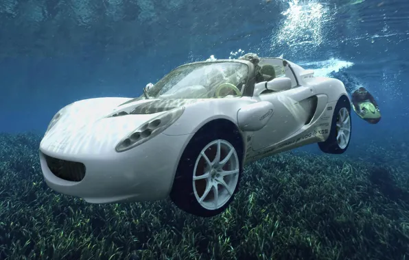 Machine, water, Lotus, guy, in the water