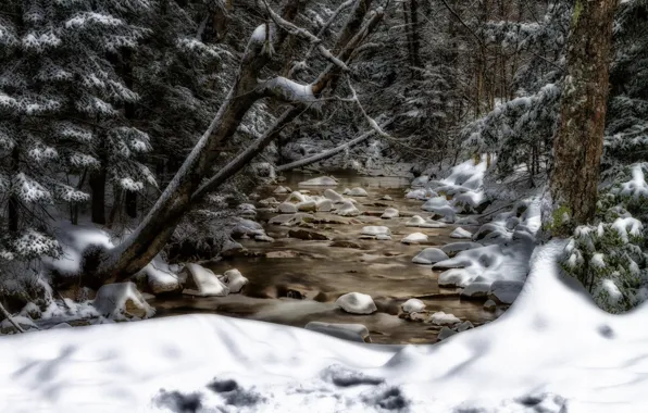 Snow, trees, stream, New Hampshire