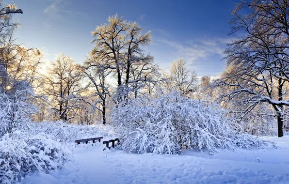 Winter, snow, trees, branches, bridge, nature, the bridge, the bushes