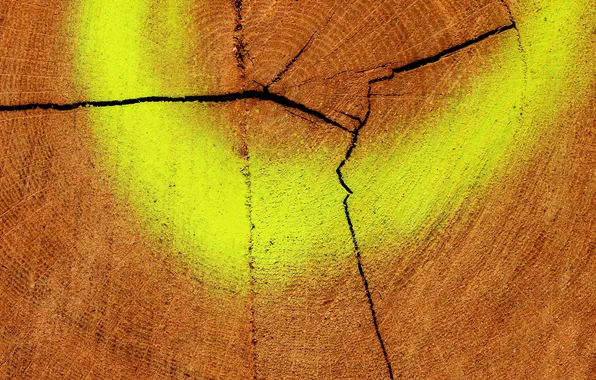 Picture trees, background, paint