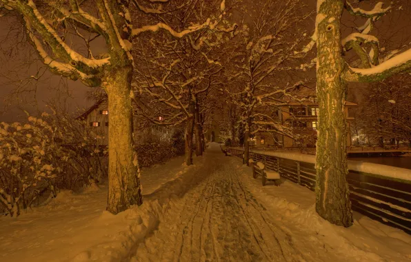 Winter, night, the city, street