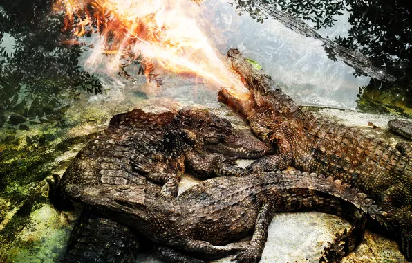 Picture FIRE, WATER, MOUTH, PREDATORS, CROCODILES, ABSTRACT