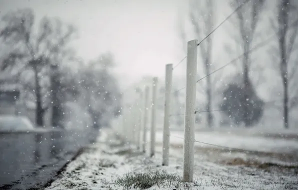 Road, snow, the fence, last farewell