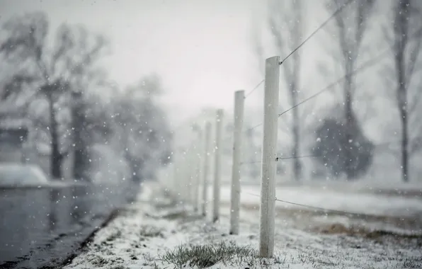Picture road, snow, the fence, last farewell
