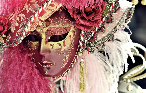 Picture feathers, mask, carnival