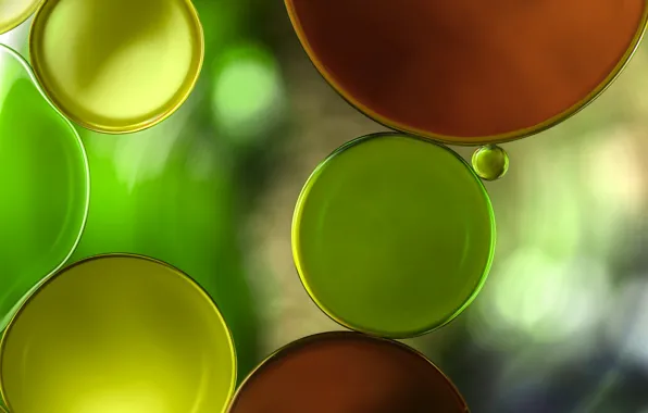 Water, bubbles, paint, oil, the air