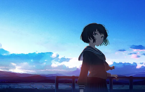 The sky, sunset, the fence, schoolgirl, rice fields, mfua. RU