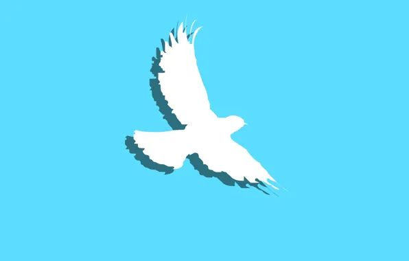 Background, bird, minimalism