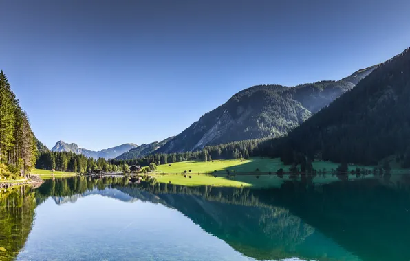 Forest, mountains, lake, Austria, Tyrol, Near Tannheim