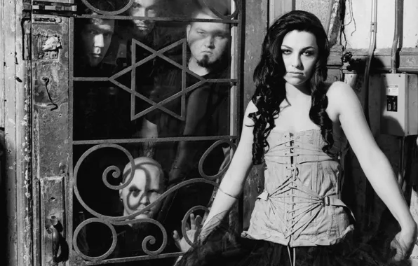Picture Fall, Amy Lee, Evanescence