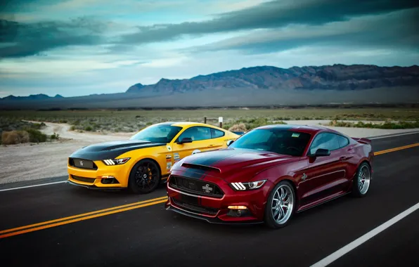 Road, Ford, wild West, Mustang GT, Shelby Terlingua, Shelby Super Snake