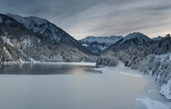 Picture winter, frost, forest, snow, mountains, lake, shore, tops