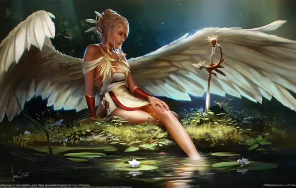 Picture girl, pond, wings, angel, saber, James Strehle
