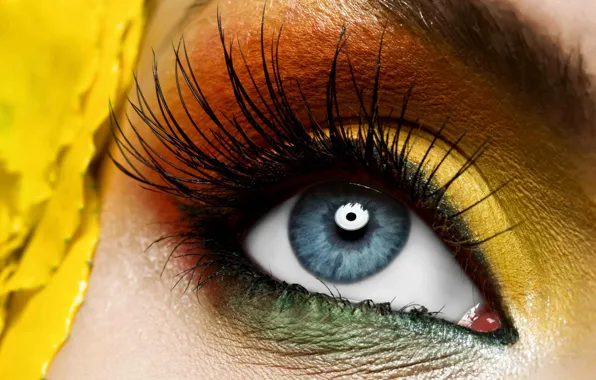 Picture yellow, eye, makeup