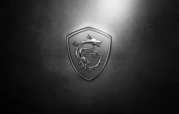 Brand, MSI, MSI Defense Solutions