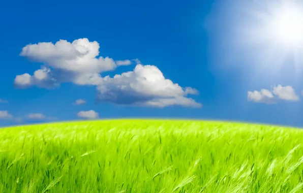 Picture the sky, grass, the sun, clouds, landscape, nature, grass, sky