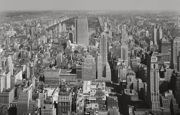 The city, skyscraper, New York, Manhattan, central park