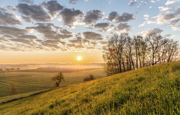 Picture the sky, clouds, nature, dawn