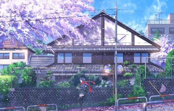 Picture wire, the fence, post, spring, Japan, Sakura, schoolgirl, flowering