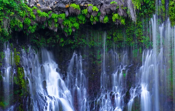 Picture nature, rock, plants, California, Northern California, vodpod, McArthur-Burney Falls Memorial State Park, Cayton