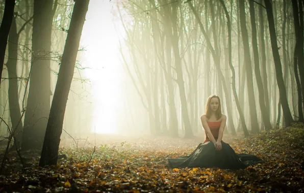 Picture autumn, forest, girl, fog