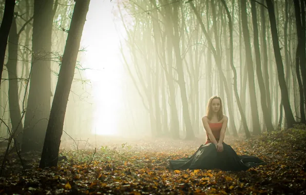 Autumn, forest, girl, fog